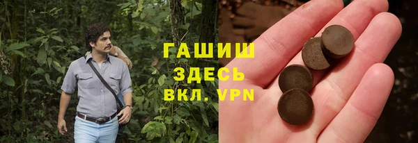 стаф Снежногорск