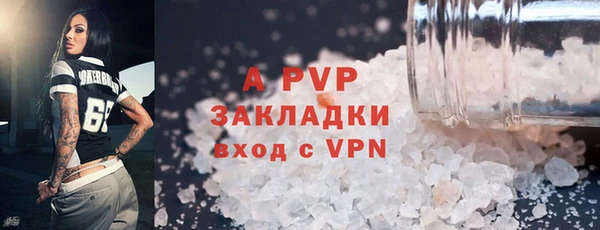стаф Снежногорск