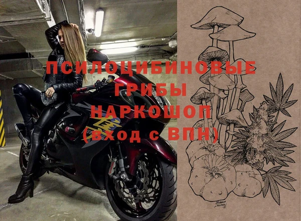 шишки Снежинск