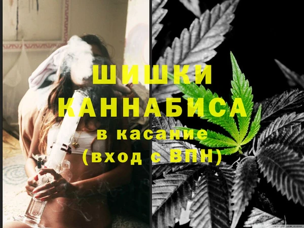 шишки Снежинск
