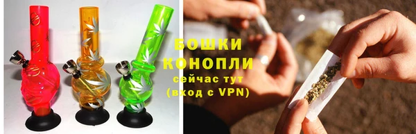стаф Снежногорск