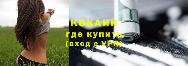 шишки Снежинск