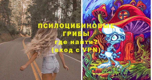 стаф Снежногорск