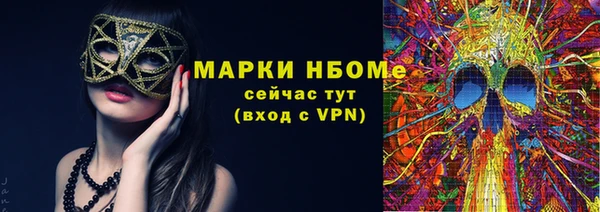 стаф Снежногорск