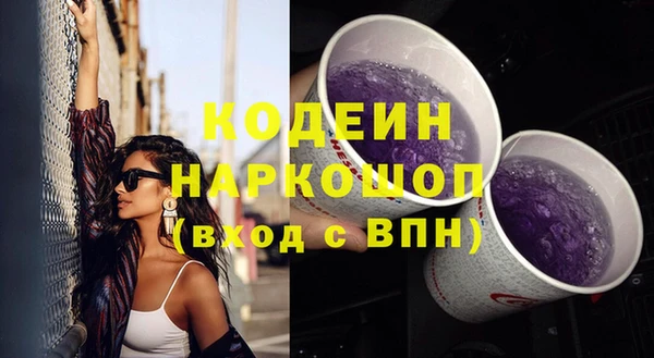 шишки Снежинск