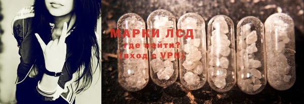 стаф Снежногорск