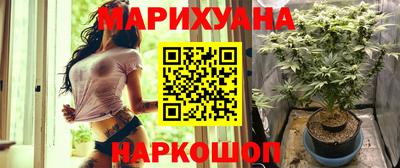 индика Беслан