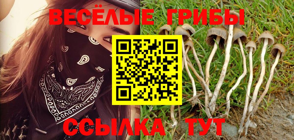 Галлюциногенные грибы GOLDEN TEACHER  цены   Бор 