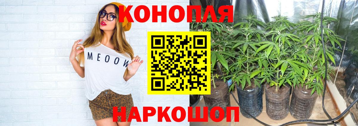 Бошки марихуана White Widow  Конопля план  Вход с VPN  Бор  Бошки марихуана SATIVA & INDICA  Канабис OG Kush 